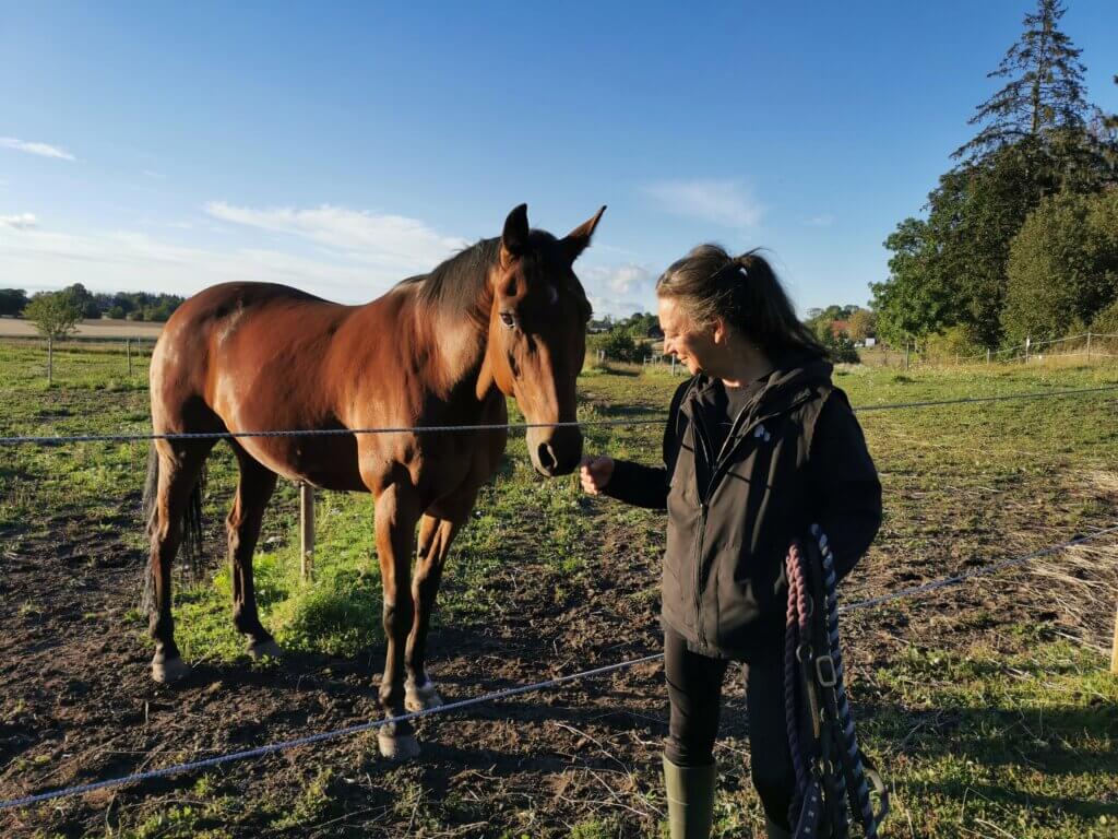 En person i svart jacka står på en gräsplätt bredvid en brun häst och sträcker ut handen för att röra vid dess nos. Det inhägnade området känns som en folkfest under en klar himmel med några moln som driver förbi.