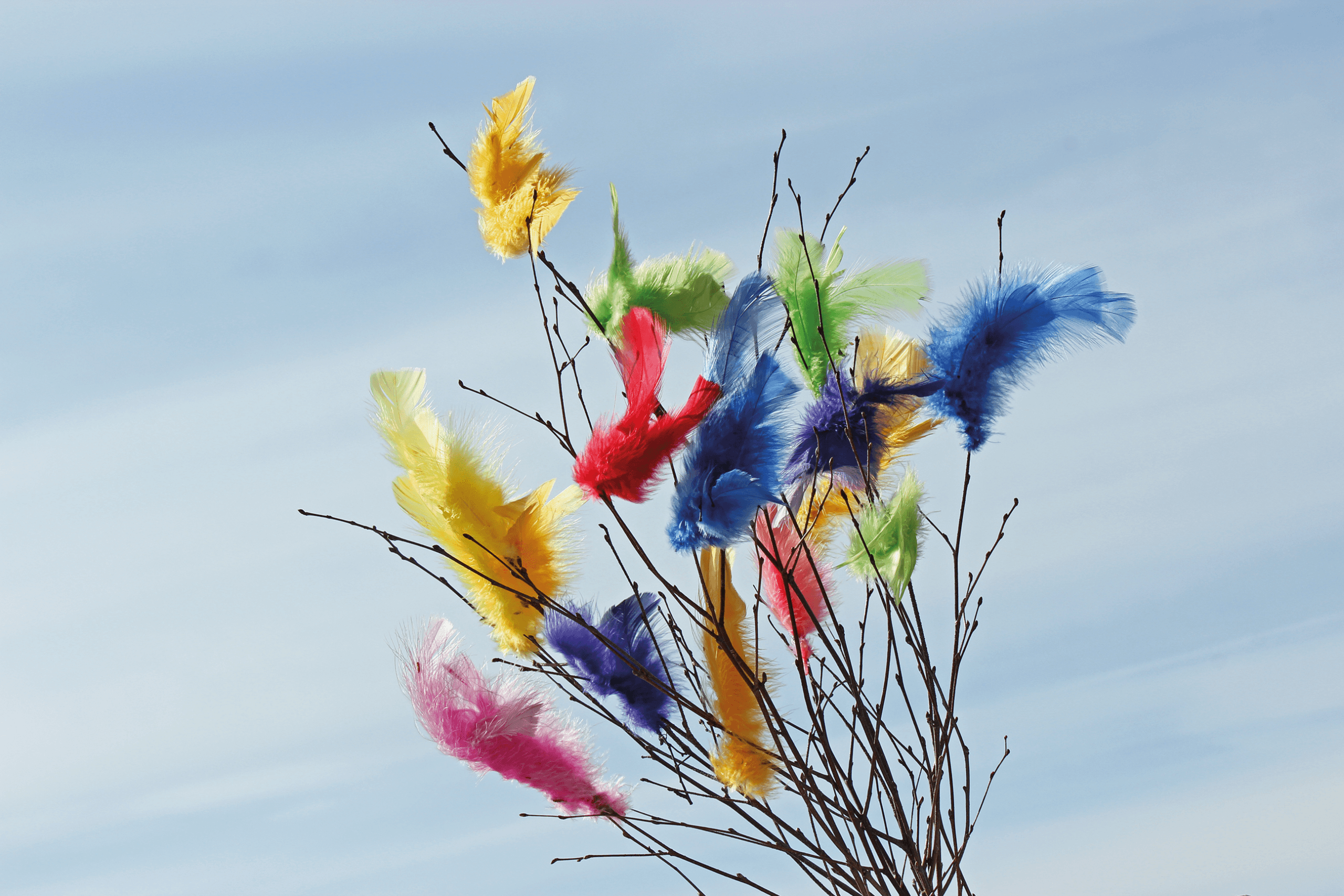 Flera nakna trädgrenar dekorerade med färgglada fjädrar i gult, rött, rosa, grönt och blått står mot en klarblå himmel.