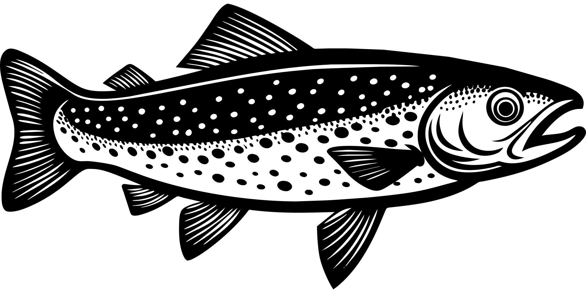 Svartvit illustration av en fisk med öppen mun som visar detaljerade fjäll, fenor och fläckar längs kroppen.