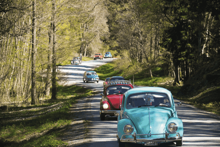 En rad klassiska bilar, bland annat en turkos Volkswagen Beetle framför, kör längs en trädkantad landsväg i dagsljus. Andra veteranbilar följer efter, och solljuset silas genom träden.