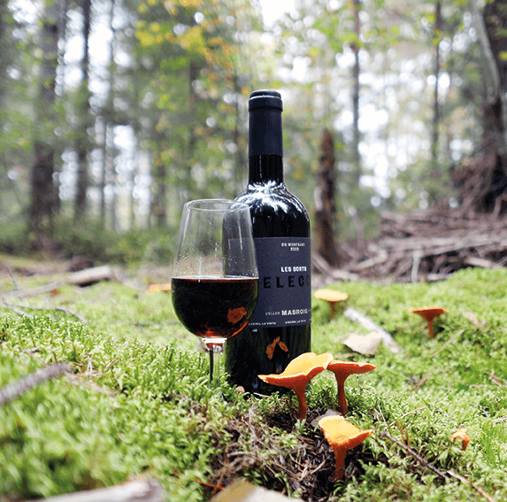 En flaska rött vin av märket Les Sorts och ett vinglas som står på en mossig skogsmark bland små svampar.